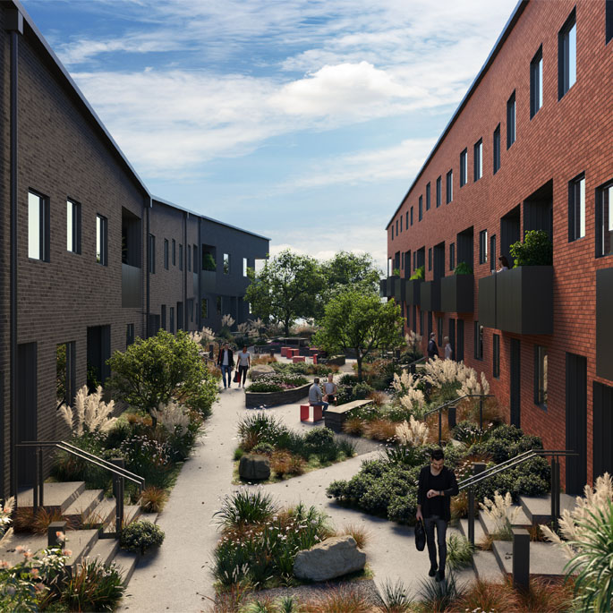 PikoToetoe_Cam5_Final_Sky Opt 3 HomeUT